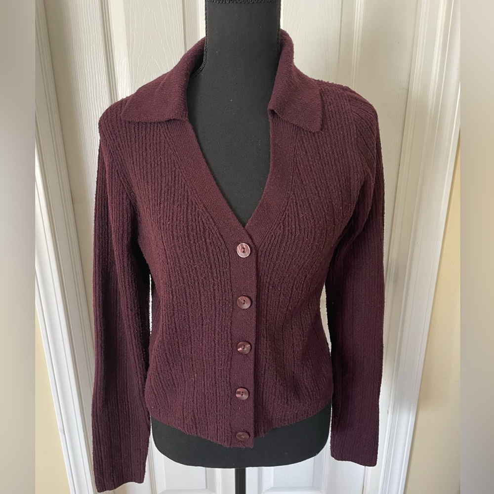 Express Women's Burgundy Sweater